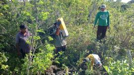 Pemasangan Patok Tanah kas Desa